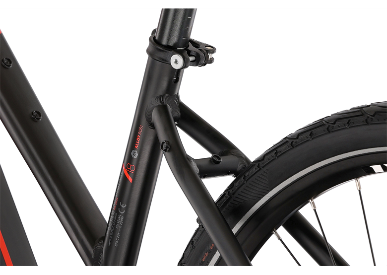 Rower elektryczny damski DEMA Imperia 5 CentrumRowerowe.pl