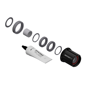 Zestaw serwisowy DT SWISS Ratchet LN MTB Shimano Micro Spline