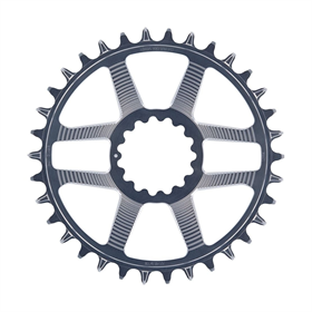 Zębatka rowerowa E*thirteen Helix R Guidering