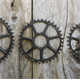 Zębatka rowerowa E*thirteen UL Chainring