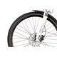 Rower elektryczny ECOBIKE D2 City