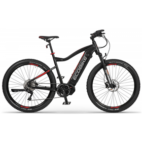 Rower elektryczny ECOBIKE RX500