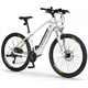 Rower elektryczny ECOBIKE SX3