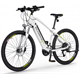 Rower elektryczny ECOBIKE SX3