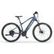 Rower elektryczny ECOBIKE SX300 BLUE