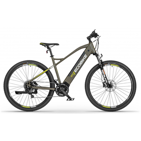 Rower elektryczny ECOBIKE SX300 GREEN