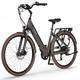 Rower elektryczny ECOBIKE X-City
