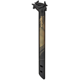 Sztyca ERGOTEC Ray 6+ Gold Edition