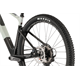 Rower MTB FOCUS Raven 8.8