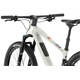 Rower MTB FOCUS Raven 8.8