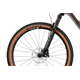 Rower MTB FOCUS Raven 8.9