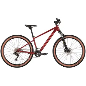 Rower MTB FOCUS Whistler 3.7