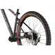 Rower MTB FOCUS Whistler 3.9