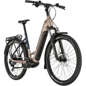 Rower elektryczny GHOST E-Teru B Universal EQ Low