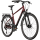 Rower trekkingowy GIANT AnyTour RS 1
