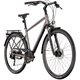 Rower trekkingowy GIANT AnyTour RS 2