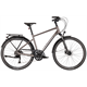 Rower trekkingowy GIANT AnyTour RS 2