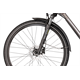 Rower trekkingowy GIANT AnyTour RS 2
