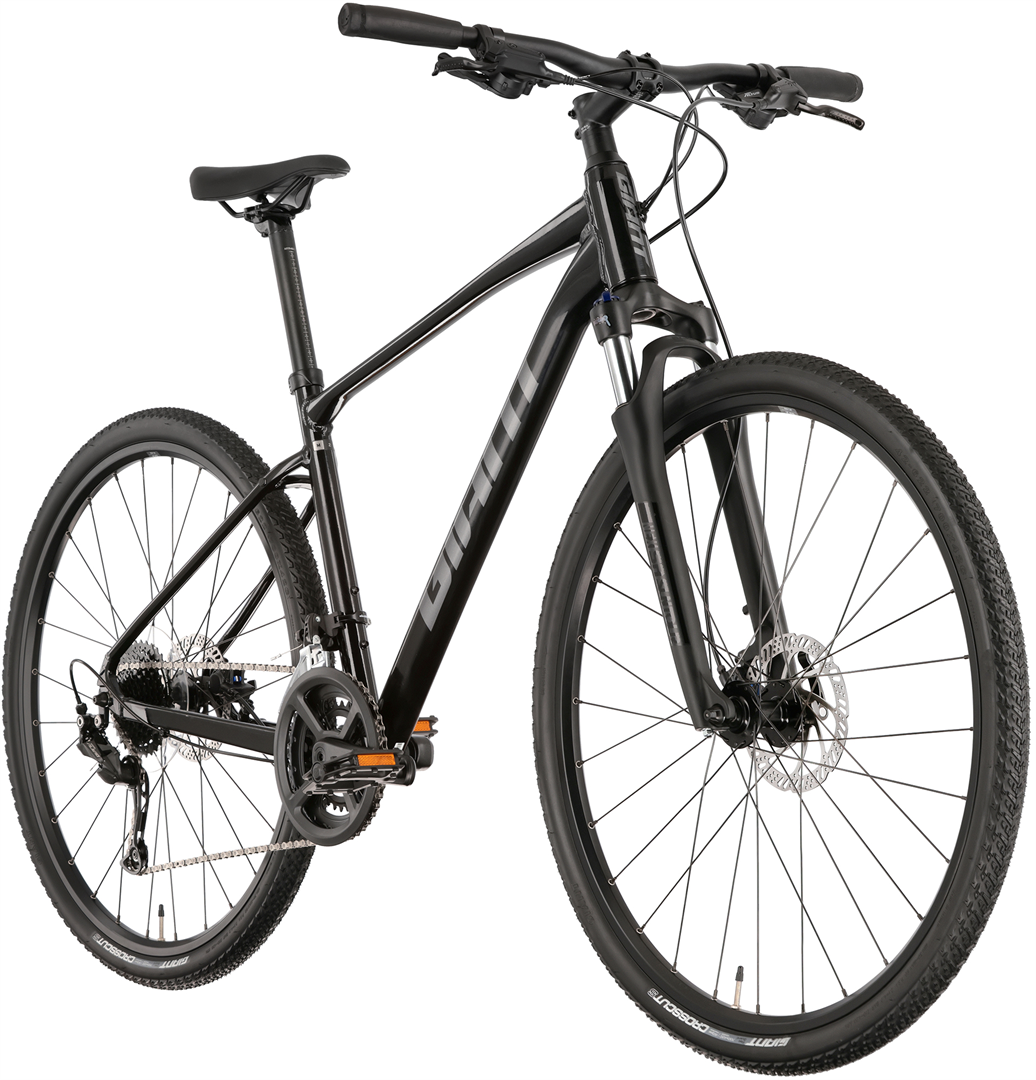 Rower crossowy GIANT Roam 2 Disc CentrumRowerowe.pl