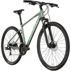 Rower crossowy GIANT Roam 4 Disc