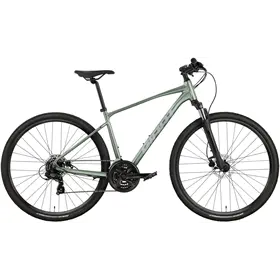 Rower crossowy GIANT Roam 4 Disc