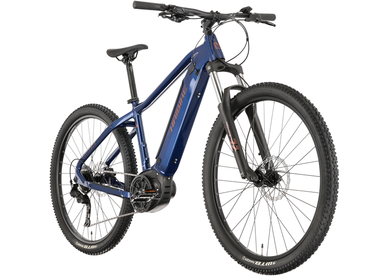 Rower elektryczny HAIBIKE AllTrack 4 29