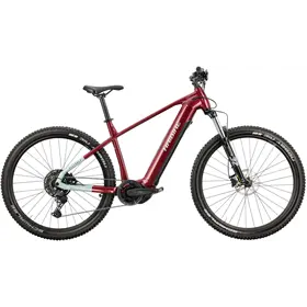 Rower elektryczny HAIBIKE AllTrack 5 29 Cues