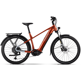 Rower elektryczny HAIBIKE Trekking 4 Cues