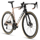 złoty
