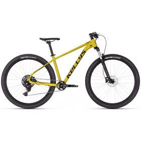 Rower MTB KELLYS Spider X70 29