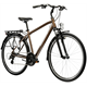 Rower trekkingowy KROSS Explorer 1.0