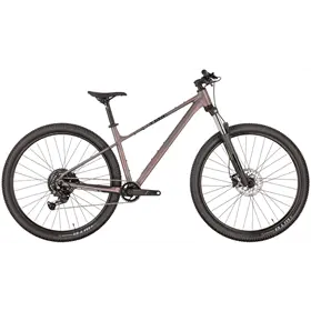 Rower MTB KROSS Level X100