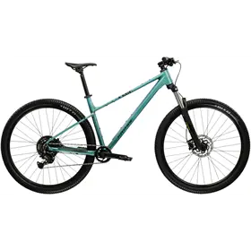 Rower MTB KROSS Level X100