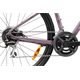 Rower crossowy damski LIV Rove 3 DD