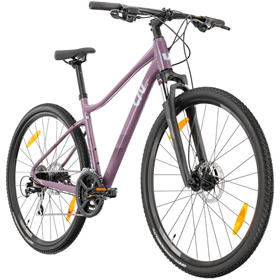 Rower crossowy damski LIV Rove 3 DD