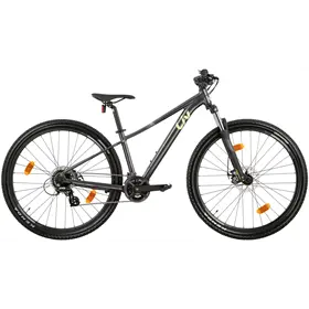 Rower MTB damski LIV Tempt 4 29