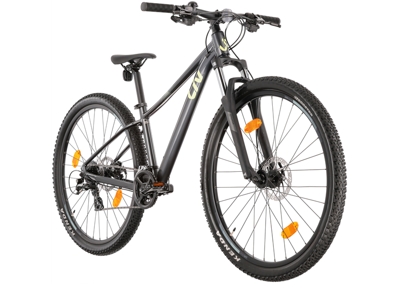 Rower MTB damski LIV Tempt 4 29