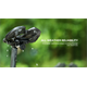 Lokalizator GPS MAGICSHINE Netfy Tracker