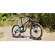 Rower MTB MARIN Alpine Trail 1