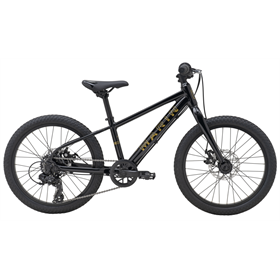 Rower dziecięcy MARIN Bayview Trail 20