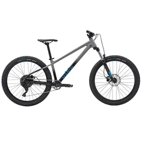 Rower MTB MARIN San Quentin 1 29