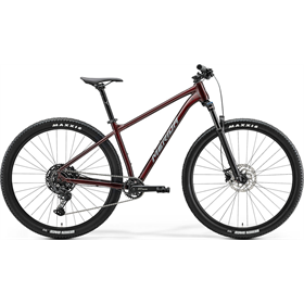 Rower MTB MERIDA Big.Nine 200 IV1