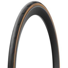 Opona MICHELIN Pro5 TS TLR
