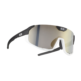 Okulary rowerowe NEON Canyon