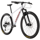 Rower MTB ORBEA Alma H10-Eagle