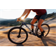 Rower MTB ORBEA Onna 29 20
