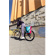 Sakwa ORTLIEB Back Roller Cyber