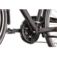 Rower trekkingowy PEGASUS Piazza