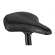 Rower elektryczny PEGASUS Siena E7F Plus