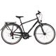 Rower trekkingowy PEGASUS Solero SL